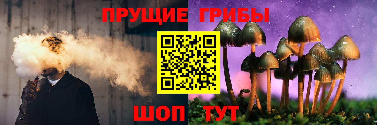 Усть-Джегута  Псилоцибиновые грибы ЛСД  Вход с VPN 